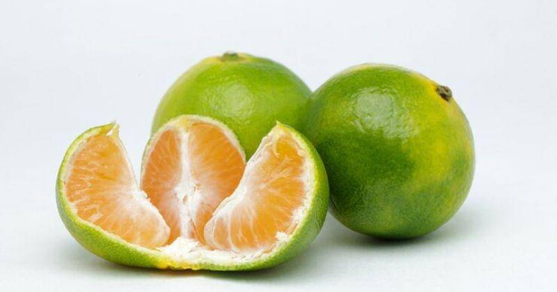 Freepik/KamranAydinov